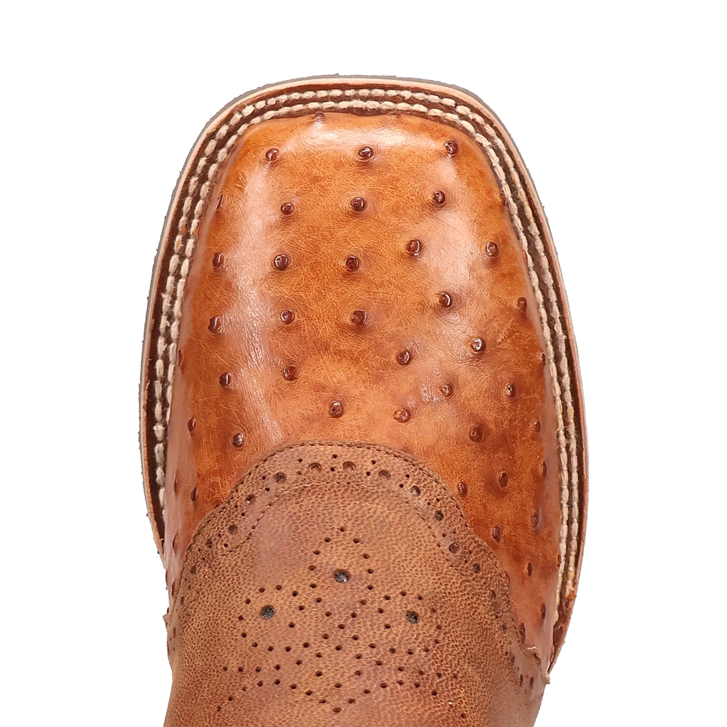 Dan Post DP6060 11" Martel Brown/Blue Full Quill Ostrich Wide Square Toe Boot With Saddle Vamp